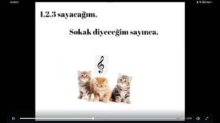 Sokak Kedileri/Her Yaş Için/Hızlı Şarkı
