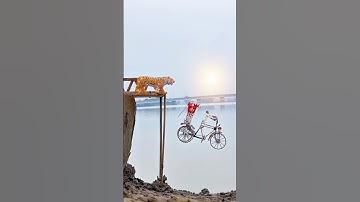 creative photography tutorial video #shorts #shortsfeed #shortvideo