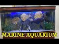 PROJECT MAINTENANCE AQUARIUM LAUT DAN TAWAR BANK TERKEMUKA DI MEDAN