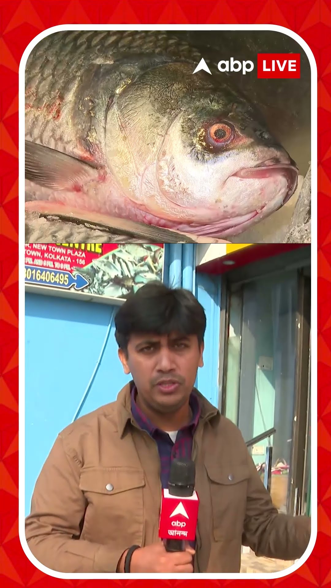 বর্ডার সিল করলে মাছের ব্যবসায় কতটা ক্ষতি বাংলাদেশের?
