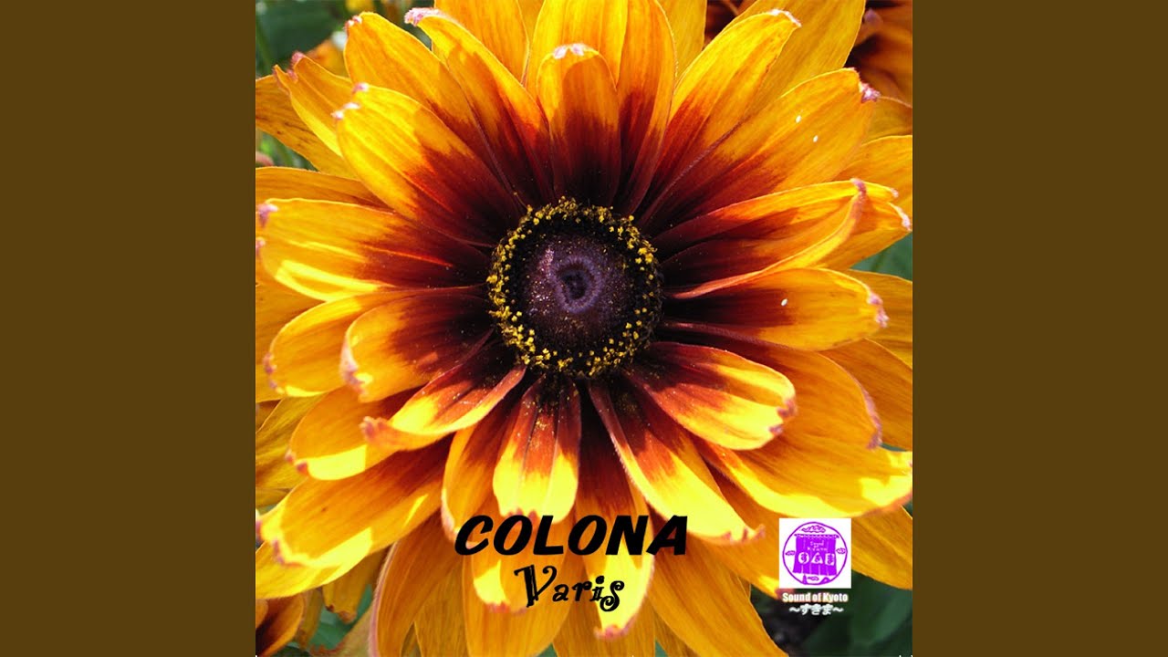 Mituna bekijken op YouTube