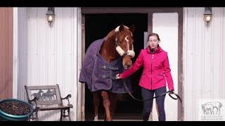 Why I took Equine Guelph Online Courses?