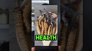 Check Out These Natural Supplements