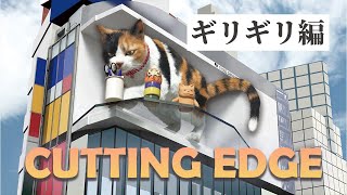 新宿東口の猫『ギリギリ編』