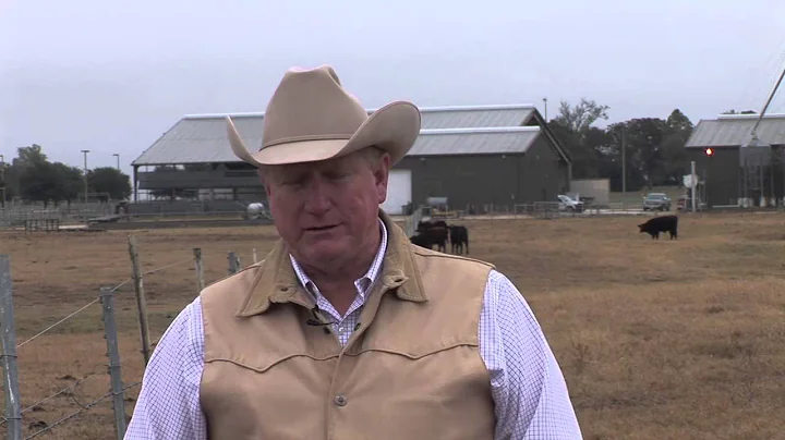 Ron Gill - Preconditioning Calf Management - Management Expectations