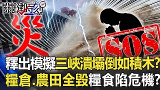 突釋出模擬「三峽潰壩」倒如「積木」！？ 糧倉、農田、養雞場全毀「糧食陷危機」！？【關鍵時刻】20200724-5 劉寶傑 李正皓 黃世聰