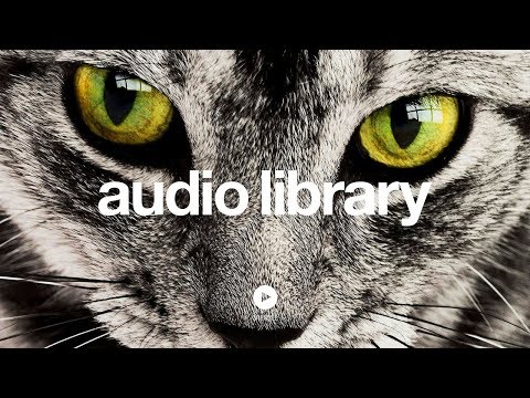 Up In My Jam (All Of A Sudden) – Kubbi (No Copyright Music)
