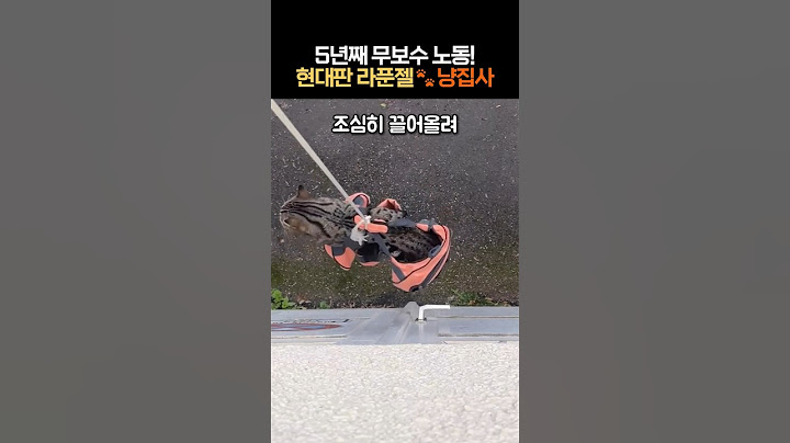 5년째 무보수 노동! 현대판 라푼젤 냥집사! #극한직업