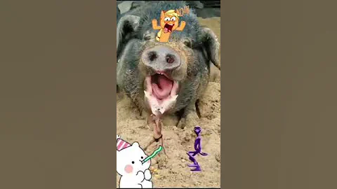 funny pig vfx video #shorts