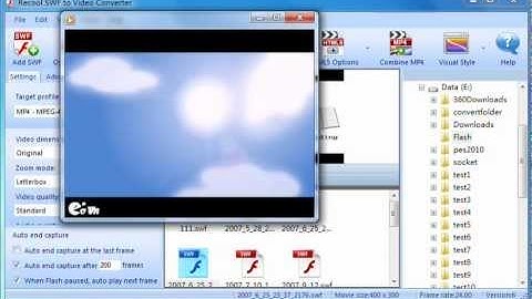 How to Convert Flash/SWF to MP4?