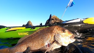 How to Spearfish off a Kayak (Viking Profish 440)
