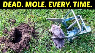 How To Kill Moles. Effective, Lethal Results. Use A Scissor Trap To Get Rid Of Moles In Your Yard.