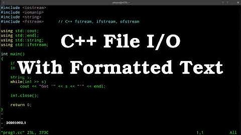 C++ File I/O With Text Examples