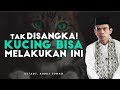 Sungguh Terharu! Kebaikan Seekor Kucing Melebihi Kebaikan Manusia | Ustadz Abdul Somad