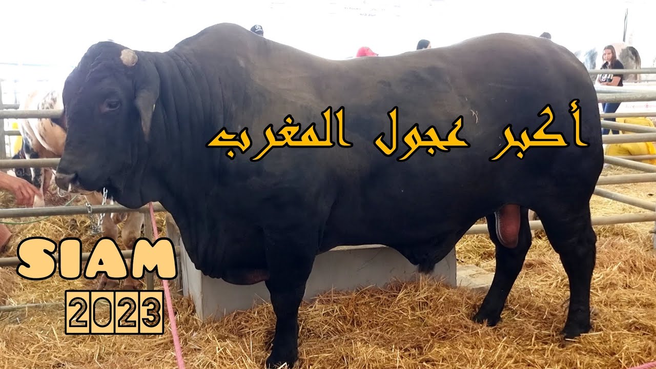 YouTube youtube