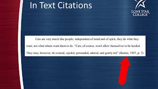 How to Cite Sources in APA 7