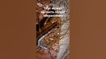 Что делать если увидел это в доме