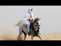شيلة  البكارة    حصريآ   اهدأ خاص     