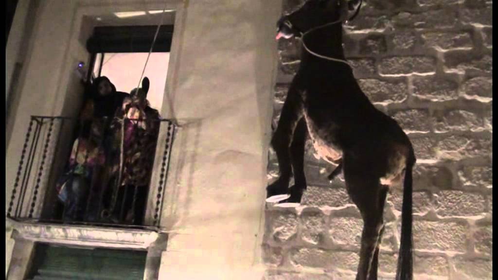 Carnaval Solsona 2012 - Penjada del ruc