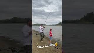 Тащим сазана на🤘как думаете сколько вес? #рыбалка #отдых #ахтуба #ловимсазана