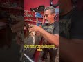 Se quiser aprender pode vim