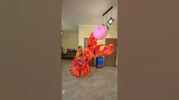 Balloon Travels Best Videos 