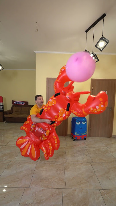 balloon 🎈 travels - best videos 😱🤣