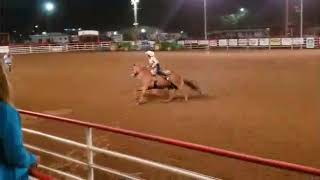 IMG 5512