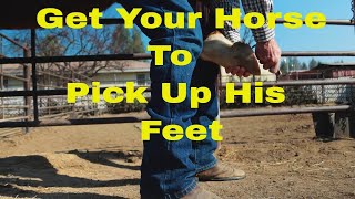 Building Trust and Cooperation: Teach Your Horse to Pick Up His Feet with Ease