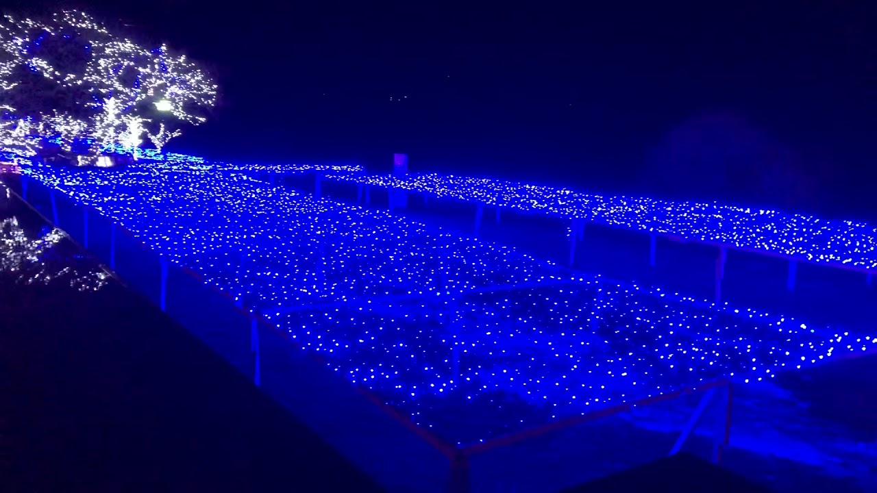 イルミネーション 洞爺湖サンパレスリゾート スパ 湖畔沿い散策 サンパレスイルミネーション 北海道洞爺湖温泉のサンパレスさんのイルミネーションは湖畔沿いに散策路になってます ハウステンボスみたい Youtube
