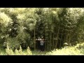 Bambusz - Kertbarátok - Kertészeti TV - műsor
