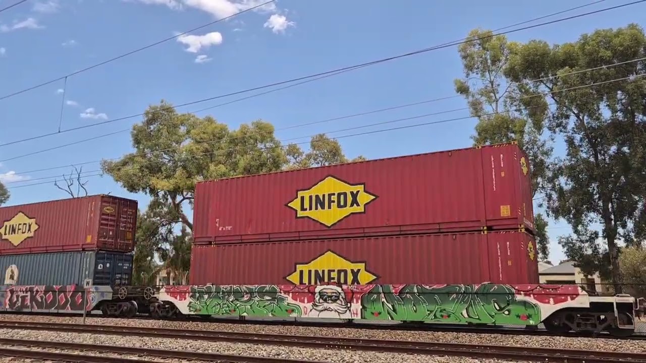 NR56 and NR83 leading 6MP5 