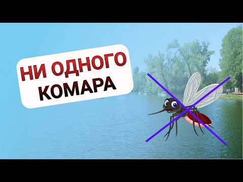 Видео: Как защитить малышей от комаров: 9 шагов