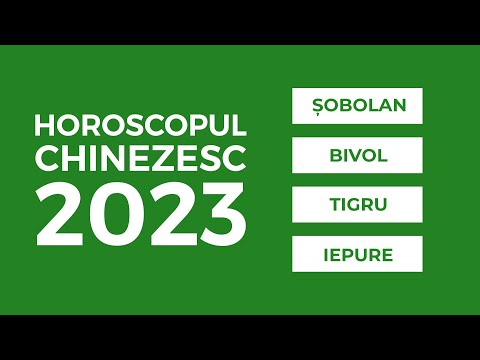 Video: Ce înseamnă Anul Șobolanului?