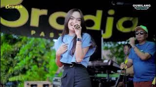 FULL ALBUM D'RADJA PASTI AJA - HAPPY PARTY REGANSY - BRINGIN BATEALIT JEPARA