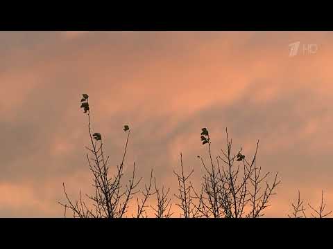 Первые заморозки ожидаются