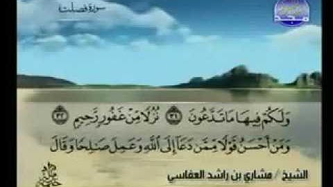 سورة فصلت |الشيخ مشاري راشد العفاسي  Fussilat |Mishary Rashid-Alafasy