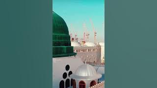 نظرة نظرة لي نظرة منكم يا أبا الزهرا