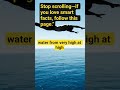 Jumping from very high into Water