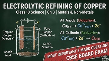 Electrolytic Refining of Copper Explained with Diagram & Equations | Class 10 Chapter 3 | CBSE Board