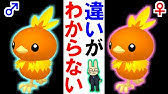 歴代かじばどろぼうコレクション ポケモン雑学 Shorts Youtube