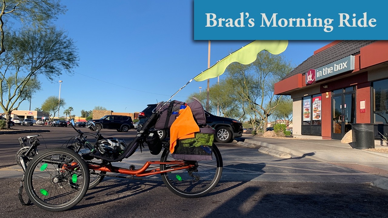 Катаюсь на лежачем трехколесном велосипеде по пригородам Финикса, рассматриваю растения — вид от ...