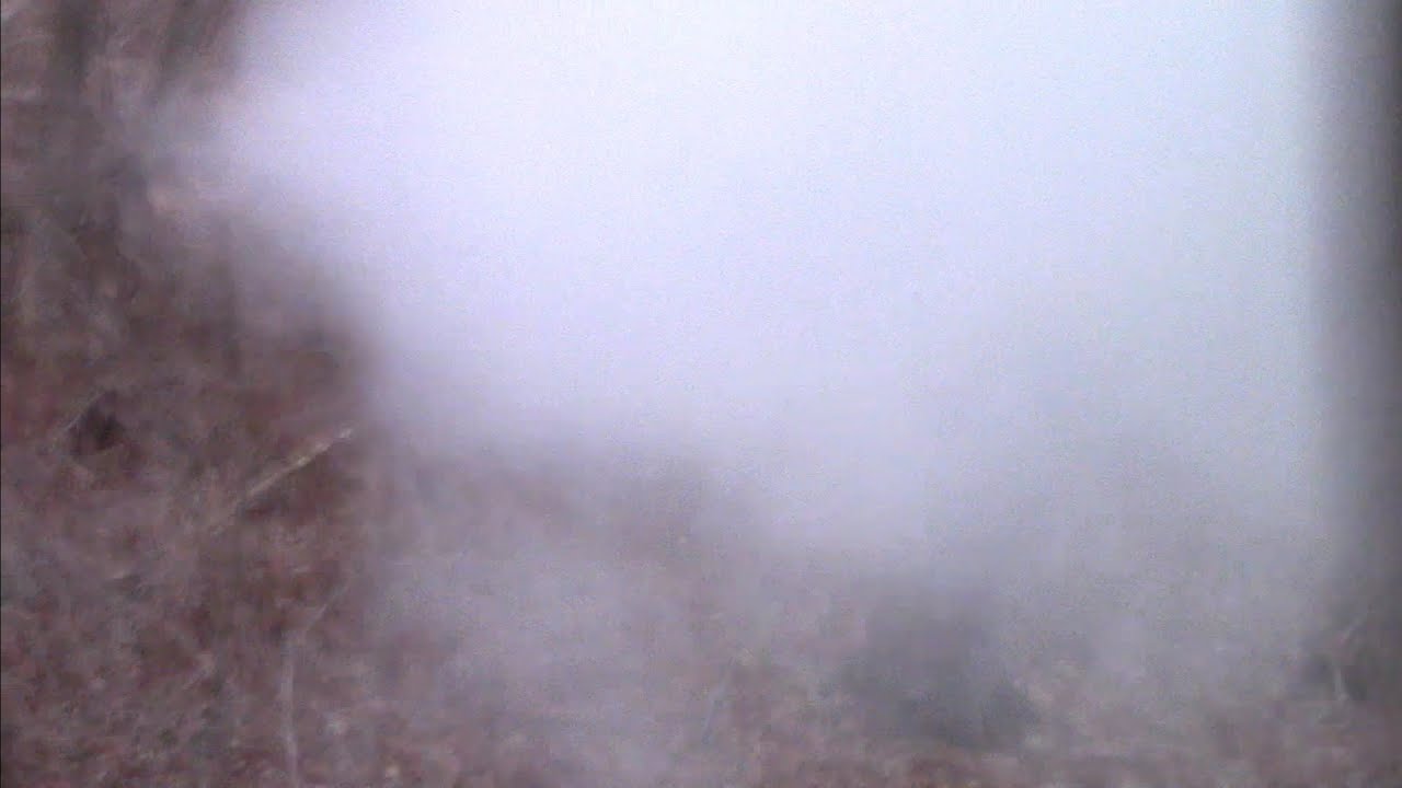 muzzleloader hunting Western, NY 2022 deer down! YouTube