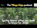 Spring beans – what you need to know for 2026