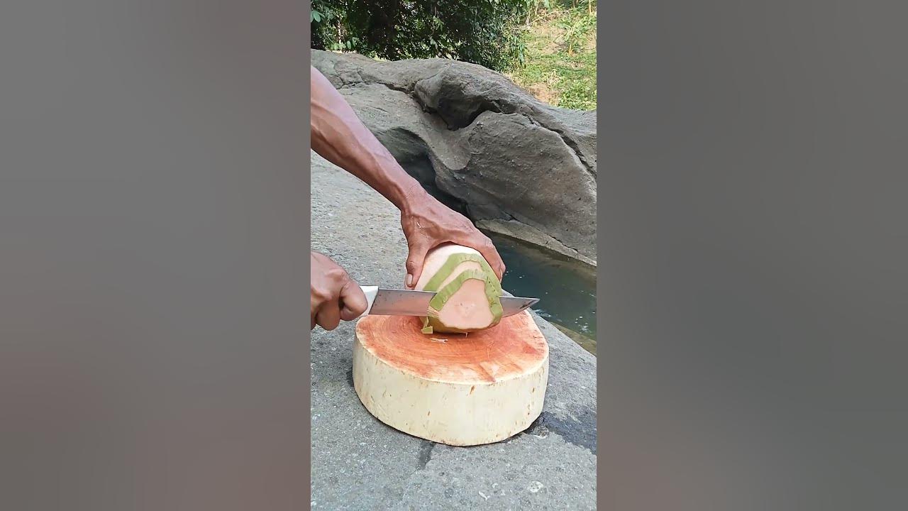 slicing skills super extraordinary coconut fruit coconut asmr fruit