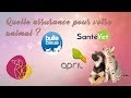 Quelle assurance pour votre animal 