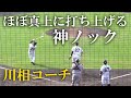 巨人キャンプ フライノックが上手い川相コーチ(2024 0211)