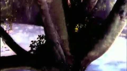 Enigma - Beyond The Invisible (Official Music Video)