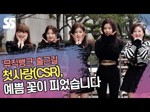 첫사랑(<strong>CSR</strong>), 예쁨 꽃이 피었습니다  (&amp;#39;뮤직뱅크&amp;#39; 출근길)
