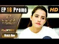 Watch Pakistani Drama | Rashk - Episode 16 Promo | Express Entertainment Dramas | Ali Josh, Sania Shamshad Online In HD